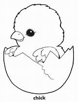 Coloring Chick Chicken Pages Printable Chickens Baby Cute Color Chicks Print Easter Colouring Kids Hatching Book Animal Clipart Oocities Animals sketch template