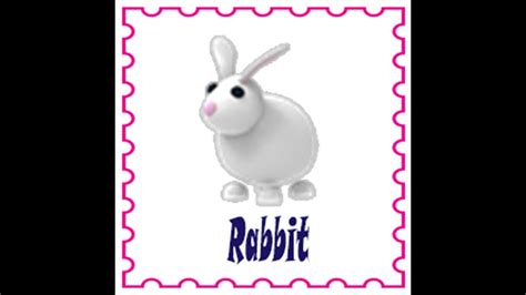 rabbit roblox adopt  rare pets roblox   rare pets    youtube