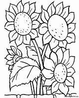 Bloemen Kleurplaat sketch template