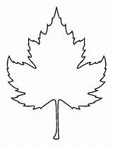 Leaf Outline Sycamore Clipart Crafts Printable Pattern Use Wikiclipart sketch template