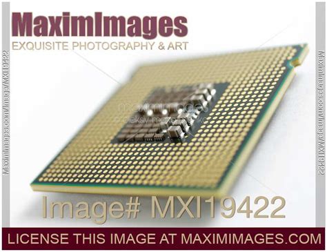 stock photo intel core  quad  cpu closeup maximimages image mxi