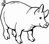 Pig Coloring Pages Creature Funny Kids sketch template