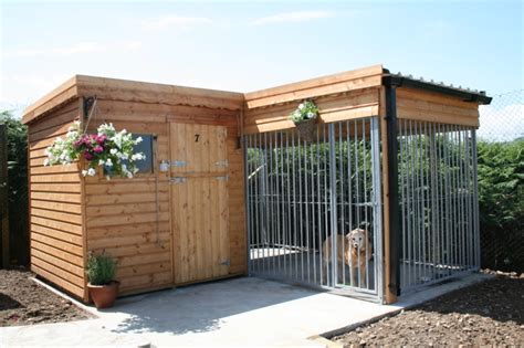 outdoor dog kennel ideas trum house interior ideas environment outdoor dog kennel kennel