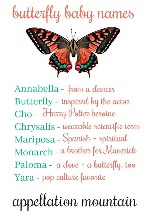 butterfly baby names monarch mariposa yara appellation mountain
