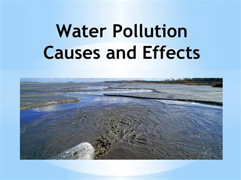 water pollution   effects  narendra singh plaha issuu