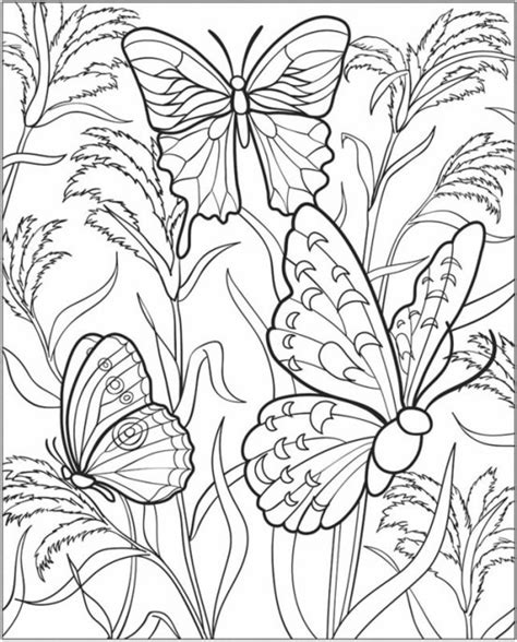 garden coloring pages printable printable word searches