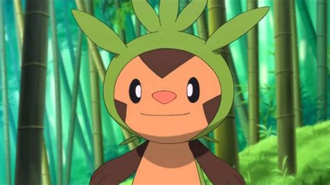 24 Awesome And Fascinating Facts About Chespin From Pokemon Tons Of Facts