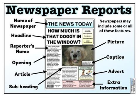 newspaper reports teaching pack articles  kids news articles