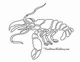Lobster Stencil Outline Drawings Stencils Choose Board Freestencilgallery Templates Admin Animals sketch template