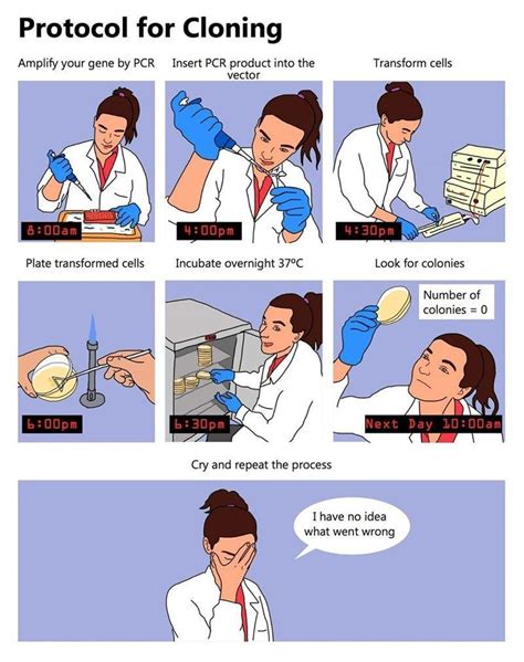science jokes science humor biology humor teacher humor teacher memes grammar humor foreign