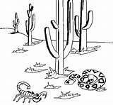 Desierto Deserto Colorare Ecosistema Ecosistemas Disegni Actividades Alimentarias Relaciones Acolore Coloring Dibuixos Dibuix sketch template