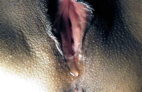 aroused vagina making me drool 17 pics