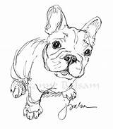 Frenchie Bulldog French Drawing Dog Line Pen Curious Tattoo Choose Board Sketch sketch template