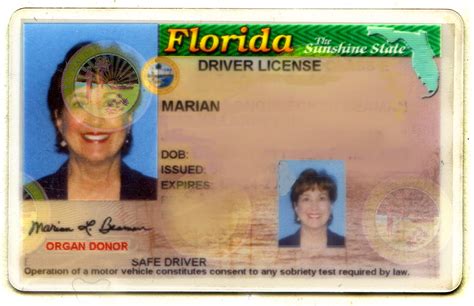 Florida Driver’s License Plain And Fancy