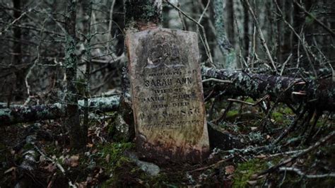 photographer on quest to save nova scotia s abandoned cemeteries cbc news