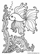 Coloring Pages Realistic Fish Life Ocean Printable Getcolorings sketch template