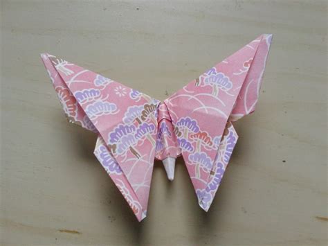 origami butterfly   fold  origami animal origami  origami