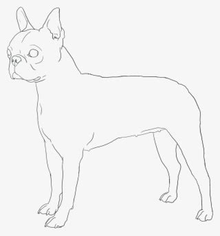 terrier dog coloring pages printable coloring pages