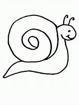 Snails sketch template