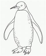 Penguin Coloring Pages Kids Printable Bestcoloringpagesforkids sketch template