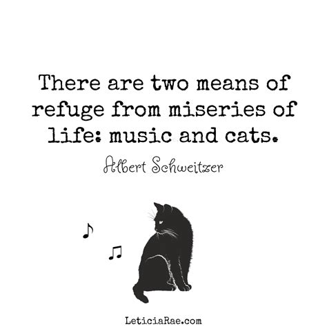 means  refuge  misseries  life   cats