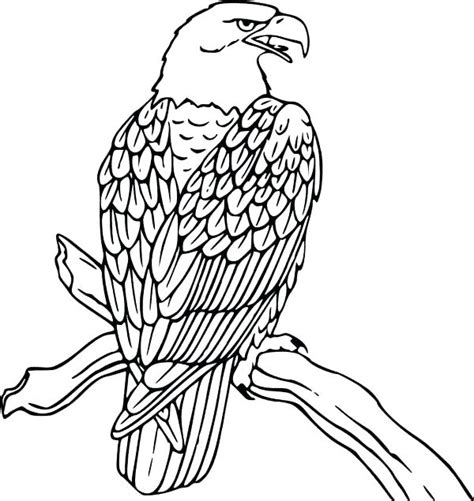 bald eagle coloring pages printable  getdrawings