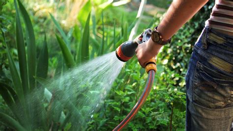 There S More To Watering Your Plants Than Just Turning On The Hose