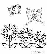 Coloring Butterflies Flowers Pages Butterfly Printable Two Colouring Amazing Flower Spring Vintage Flying Print Over Library Clipart Popular sketch template