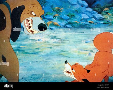 The Fox And The Hound From Left Copper Tod 1981 © Walt Disney