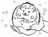 Hedgehog Colouring Smiling Hedgehogs Bulkcolor Sonic Prompt Renate sketch template
