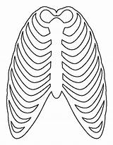 Ribcage Printable Pattern Template Outline Patternuniverse Cut Pdf Human Rib Cage Use Crafts Paper Patterns Print Coloring People Printables Cutting sketch template