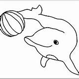 Jogando Golfinho Golfinhos Dolfijn Brincando Tudodesenhos Squirtle sketch template
