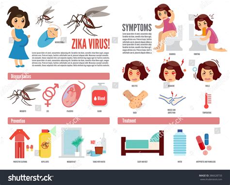 Zika Virus Dengue Virus Infographic Vector Stock Vector 386628733