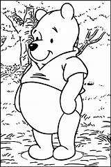 Pooh Winnie Coloring Forest Wecoloringpage Pages sketch template