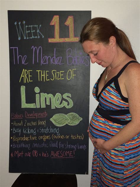 11 Weeks Pregnant With Twins The Maternity Gallery