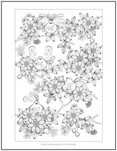 birds  flowers coloring page print