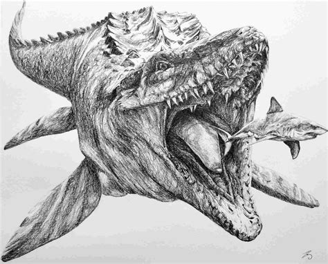 dinosaur pencil drawing  paintingvalleycom explore collection