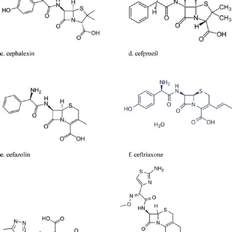 chemical structures  beta lactam  monobactam antibiotics  core