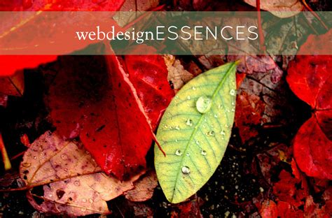 natural colors webdesignessences