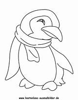 Pinguin Pinguim Pinguino Ausmalen Ausmalbild Chistoso Penguin Voegel Jedessine Antartique Continents Hellokids Vögel sketch template