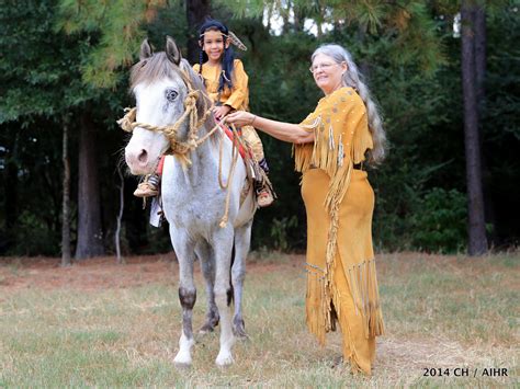 aihr  american indian horse registry