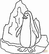 Pinguino Iceberg Clipartmag Vicino Supercoloring sketch template