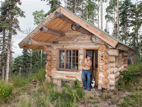 expert diy tips  build  log cabin   dreams   budget small log cabin