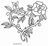 Drawing Vines Flowers Rose Vine Drawn Getdrawings sketch template
