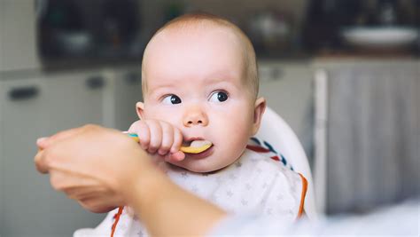 dietitians guide  weaning