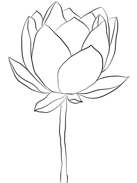 lotus flower coloring book  stem printable