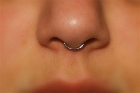 Septum Piercing Piercing Nasal Faux Septum Ring Septum Nose Rings