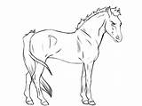 Lineart Horse Use Deviantart sketch template