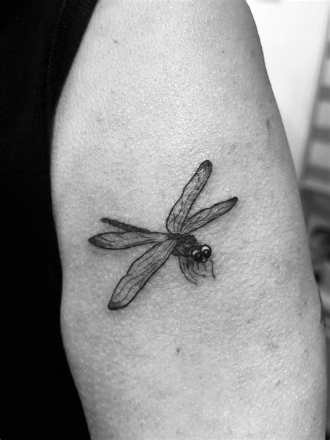 Share 71 Tiny Dragonfly Tattoo Best Thtantai2