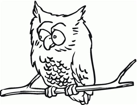 coloring page owl coloring home